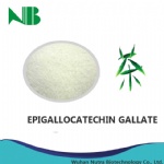 Epigallocatechin gallate (EGCG)