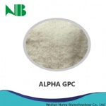 Alpha GPC (L-Alpha Glycerylphosphorylcholine)