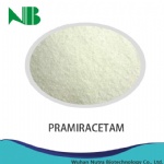 Pramiracetam