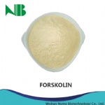 FORSKOLIN