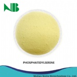 Phosphatidylserine